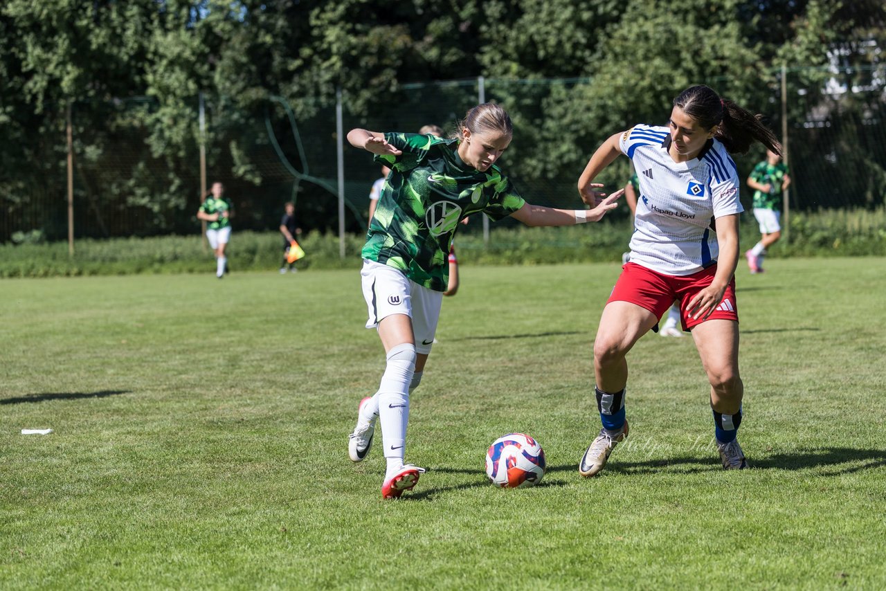 Bild 413 - wBJ Hamburger SV - VfL Wolfsburg : Ergebnis: 5:1